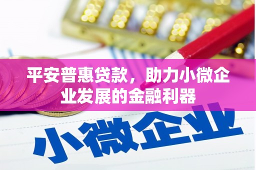 九原平安普惠贷款，助力小微企业发展的金融利器