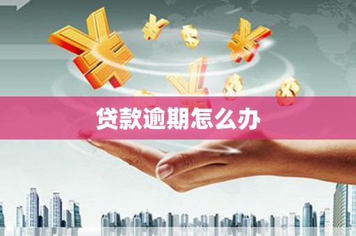 九原贷款逾期怎么办