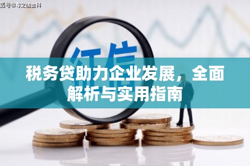 九原税务贷助力企业发展，全面解析与实用指南