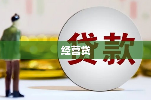 九原经营贷