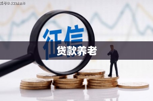 九原贷款养老