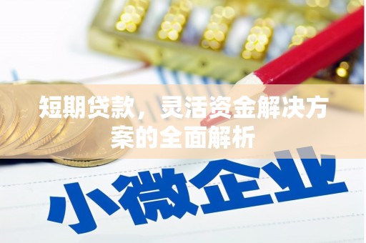 九原短期贷款，灵活资金解决方案的全面解析