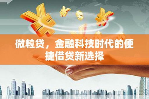 九原微粒贷，金融科技时代的便捷借贷新选择