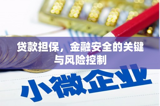九原贷款担保，金融安全的关键与风险控制