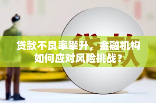 九原贷款不良率攀升，金融机构如何应对风险挑战？