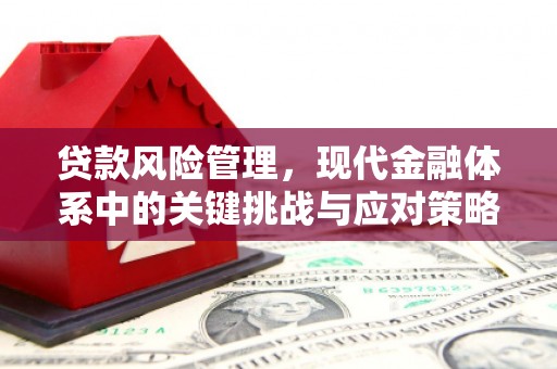 九原贷款风险管理，现代金融体系中的关键挑战与应对策略