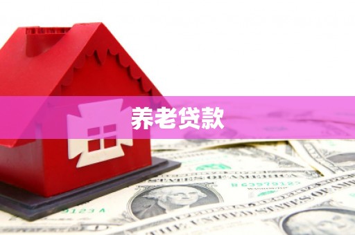 九原养老贷款