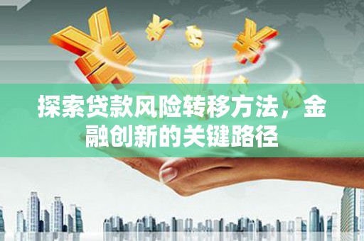 九原探索贷款风险转移方法，金融创新的关键路径