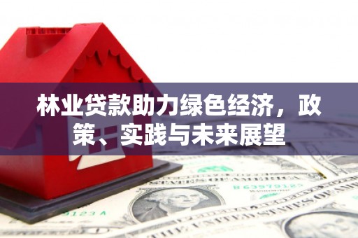 九原林业贷款助力绿色经济，政策、实践与未来展望
