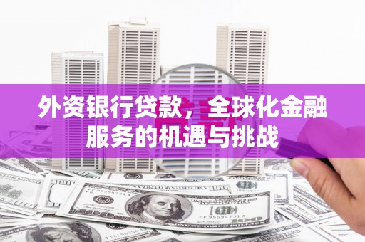 九原外资银行贷款，全球化金融服务的机遇与挑战