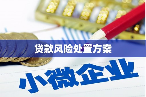 九原贷款风险处置方案