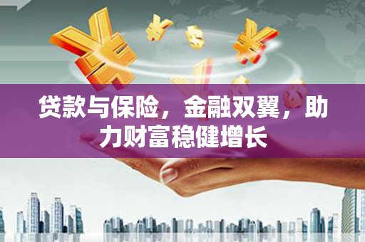 九原贷款与保险，金融双翼，助力财富稳健增长