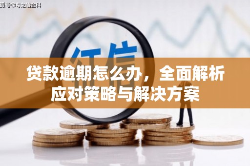 九原贷款逾期怎么办，全面解析应对策略与解决方案