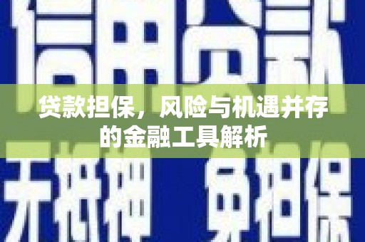 九原贷款担保，风险与机遇并存的金融工具解析