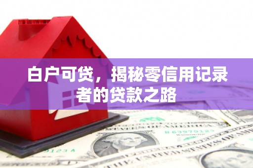 九原白户可贷，揭秘零信用记录者的贷款之路