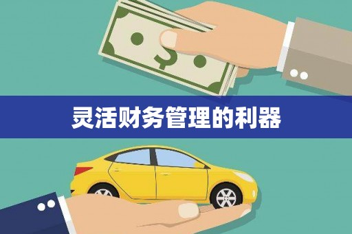 九原灵活财务管理的利器