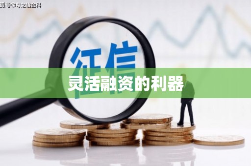 九原灵活融资的利器