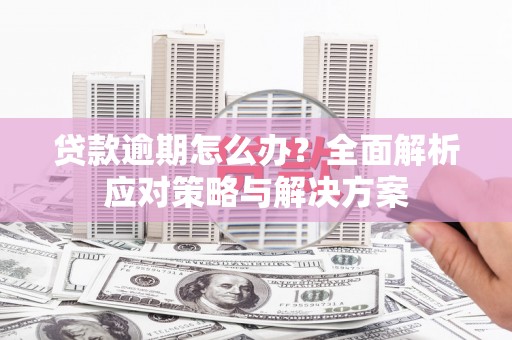 九原贷款逾期怎么办？全面解析应对策略与解决方案