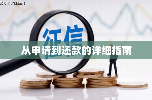 九原从申请到还款的详细指南