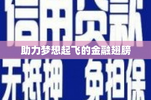 九原助力梦想起飞的金融翅膀
