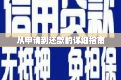 九原从申请到还款的详细指南