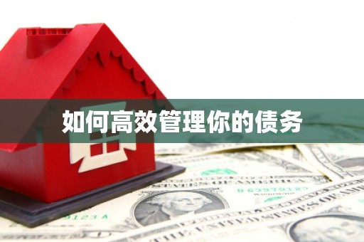 九原如何高效管理你的债务