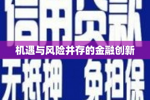 九原机遇与风险并存的金融创新