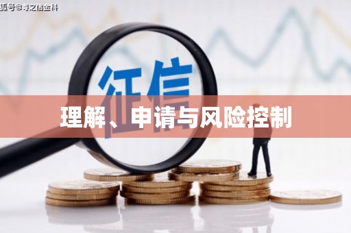 九原理解、申请与风险控制