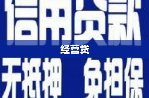九原经营贷