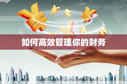 九原如何高效管理你的财务
