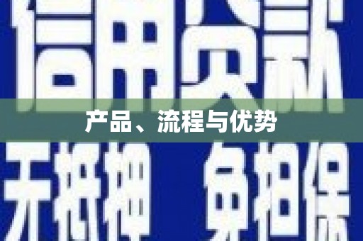 九原产品、流程与优势