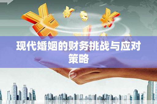 九原现代婚姻的财务挑战与应对策略