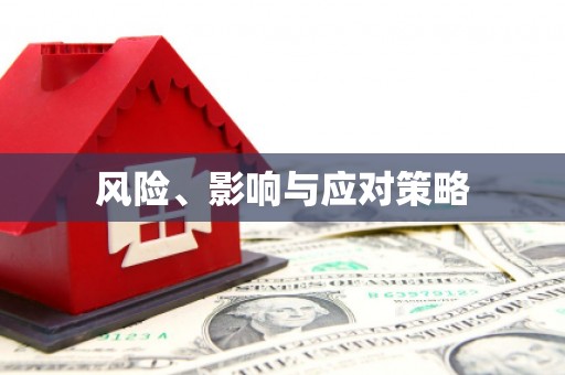 九原风险、影响与应对策略