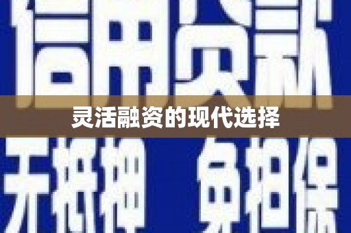 九原灵活融资的现代选择