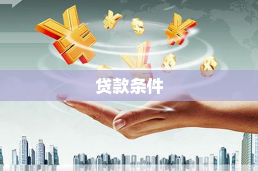 九原贷款条件