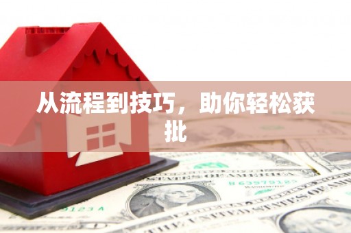 九原从流程到技巧，助你轻松获批