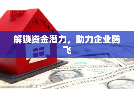 九原解锁资金潜力，助力企业腾飞