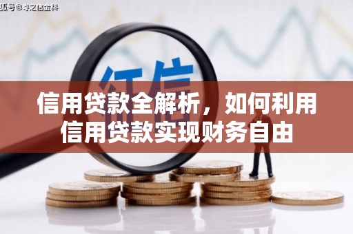 九原信用贷款全解析，如何利用信用贷款实现财务自由