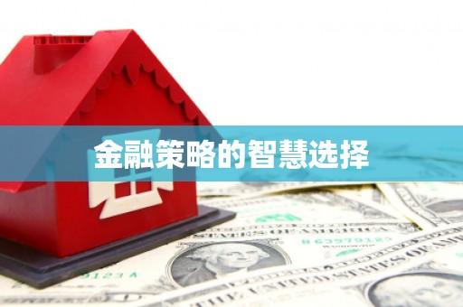 九原金融策略的智慧选择