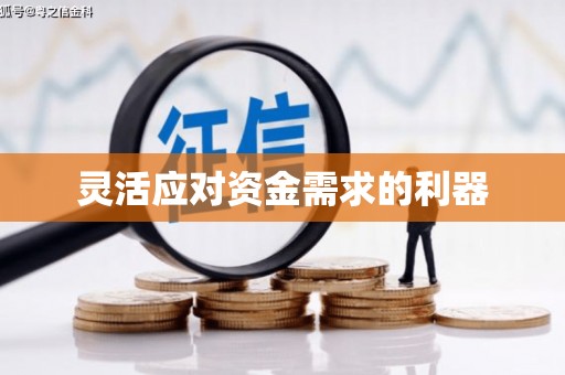 九原灵活应对资金需求的利器