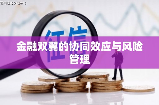 九原金融双翼的协同效应与风险管理