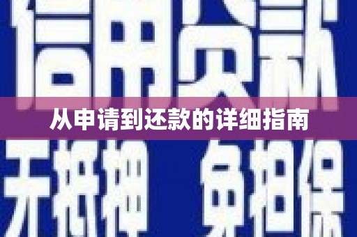 九原从申请到还款的详细指南