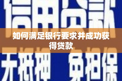 九原如何满足银行要求并成功获得贷款