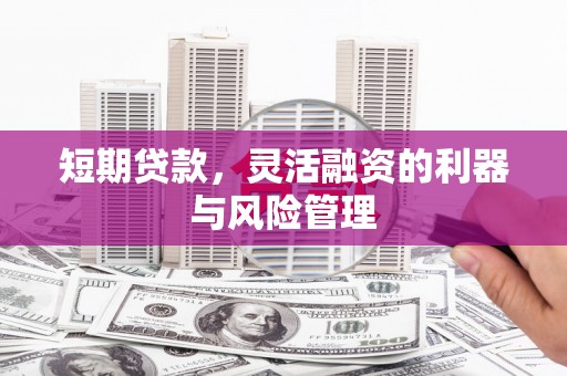 九原短期贷款，灵活融资的利器与风险管理