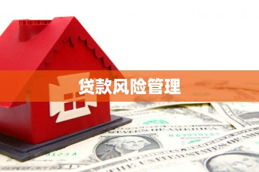 九原贷款风险管理