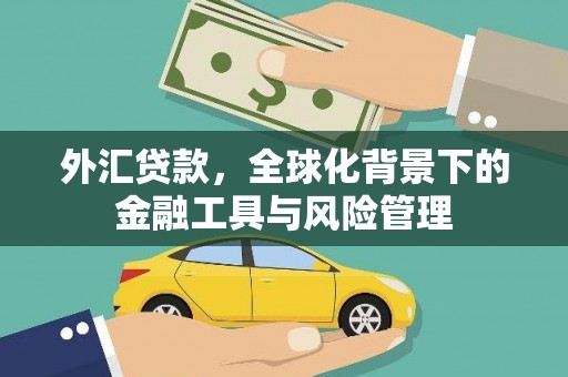 九原外汇贷款，全球化背景下的金融工具与风险管理