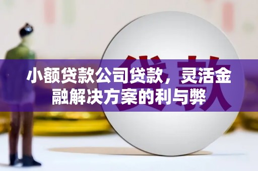 九原小额贷款公司贷款，灵活金融解决方案的利与弊