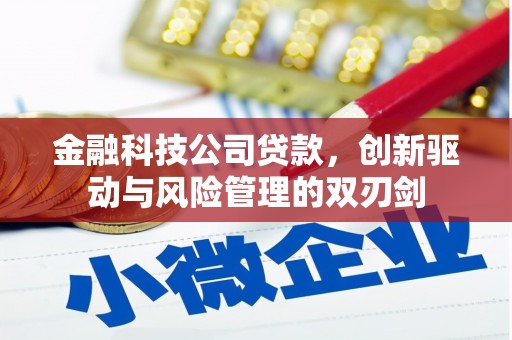 九原金融科技公司贷款，创新驱动与风险管理的双刃剑
